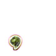 245