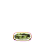 250