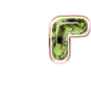 254