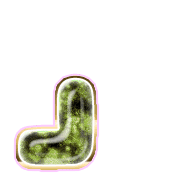 255