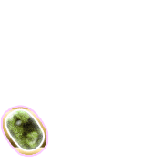 256