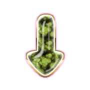 261