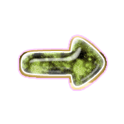 262