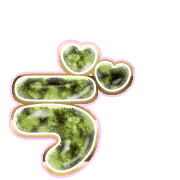 267