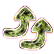 270