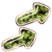 271