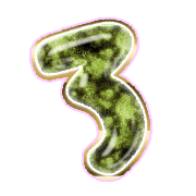 283