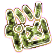 284