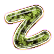 305