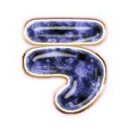 003