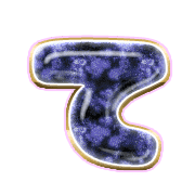 019