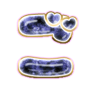 060