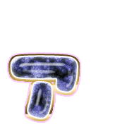 127