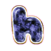 195