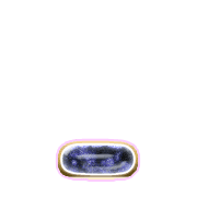 250