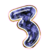 283