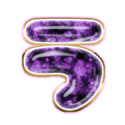 003