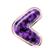 008