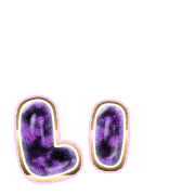 048