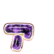 127