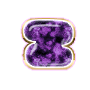 213