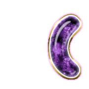 234