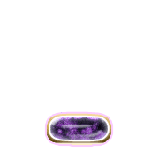 250