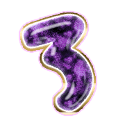 283