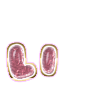 048