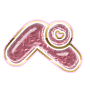 079