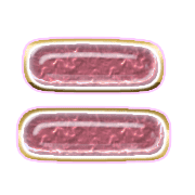 102