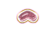 231