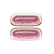 239