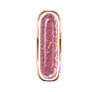 242