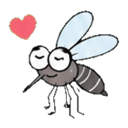003