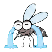 008