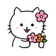 031
