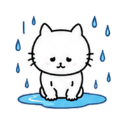 036