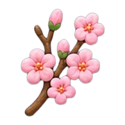 032