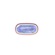 251