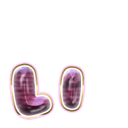 048