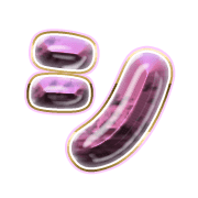 092