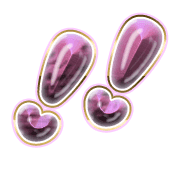 268
