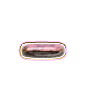 161