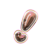 225