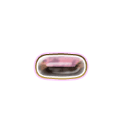 251