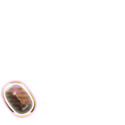 256