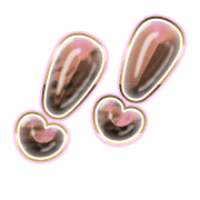 268