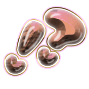 269