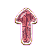 260
